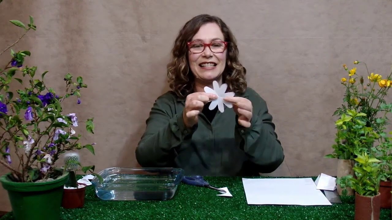 EXPERIÊNCIA DA FLOR QUE ABRE NA ÁGUA