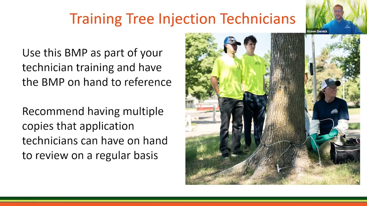Tree Injection Best Practices: What's New & Important for Arborists