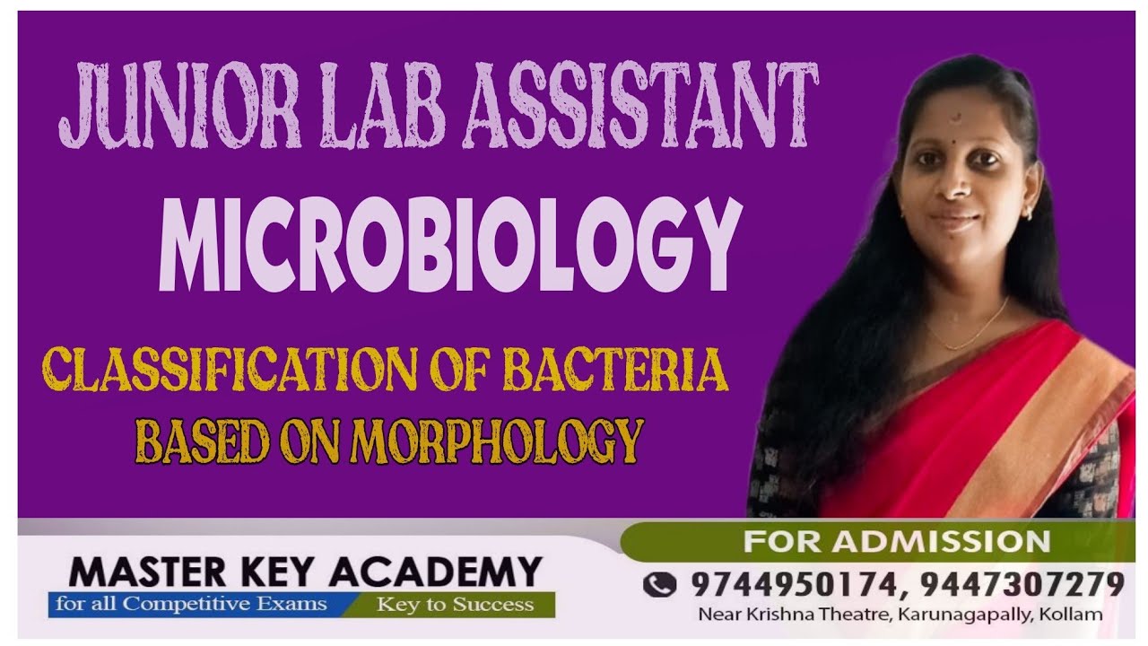 JUNIOR LAB ASSISTANT|| MICROBIOLOGY||CLASSIFICATION OF BACTERIA BASED ON MORPHOLOGY||