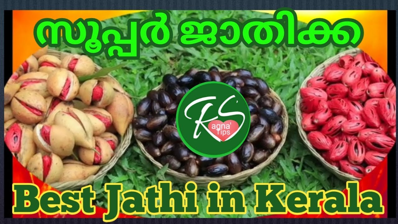 സൂപ്പർ ജാതി  ,Best Jathi in Kerala