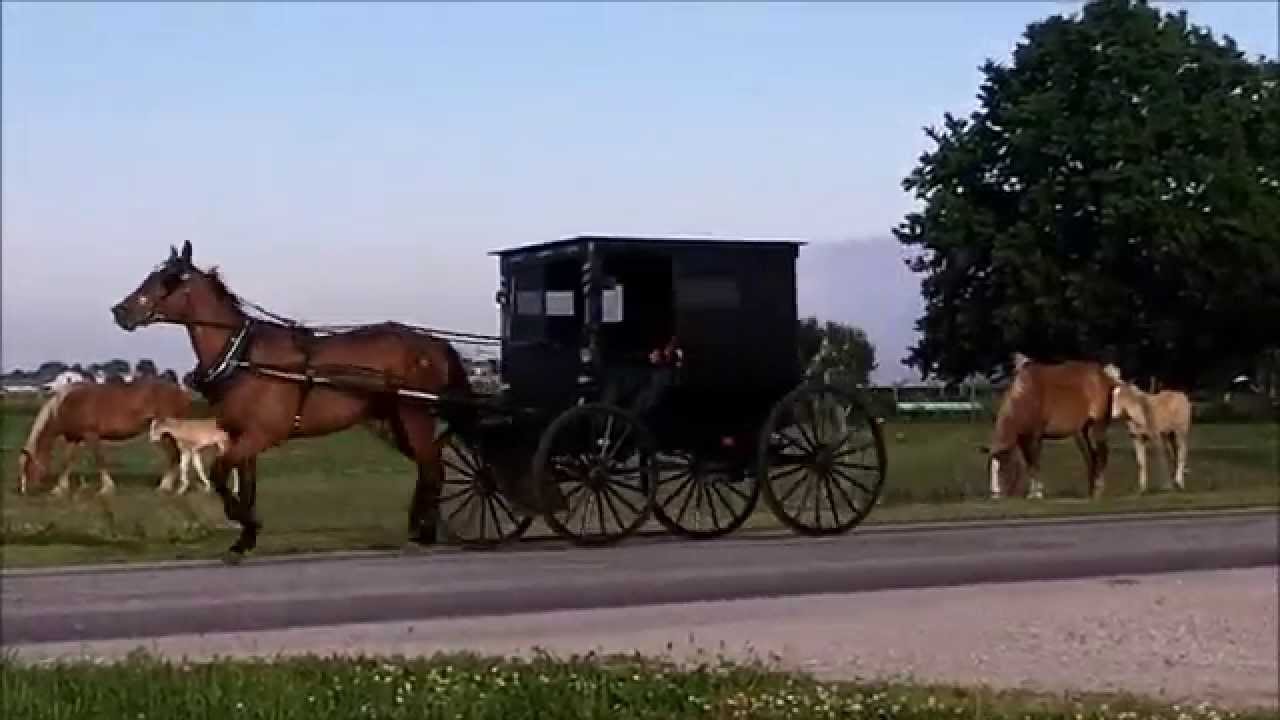 Amish Transportation in Arthur Illinois