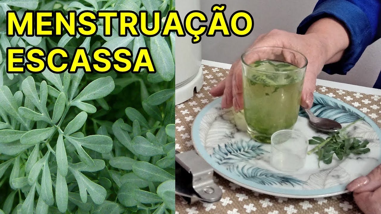 ARRUDA para AMENORREIA - Menstrua&ccedil;&atilde;o Escassa e Desregulada #Rem&eacute;dio 💖 MARILENE SARAH FIALHO