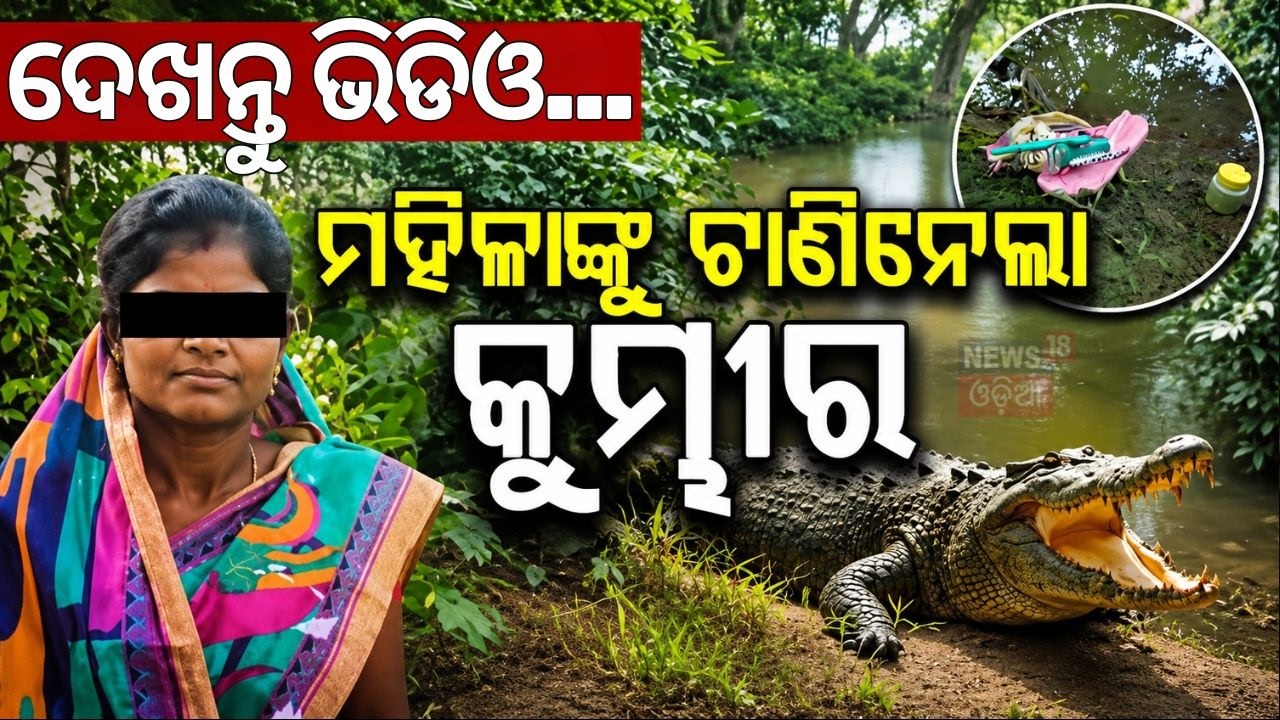 ମହିଳାଙ୍କୁ ଟାଣିନେଲା କୁମ୍ଭୀର? Kendrapara Crocodile Attack? Woman Missing in Brahmani River | Odia News