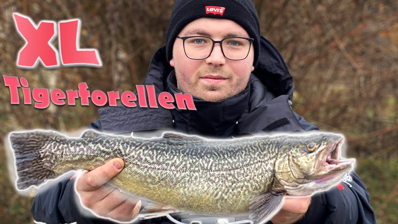 XL Exoten am Forellenteich Gut Schnede | Forellenangeln | Die Elbcoastangler