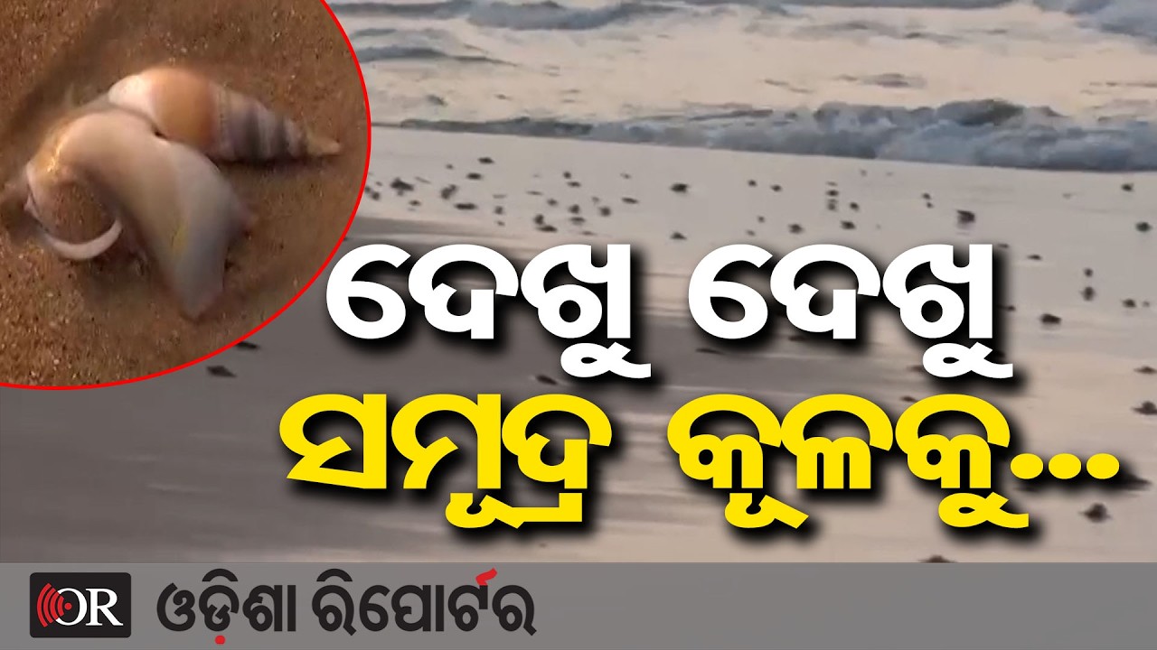 ଦେଖୁ ଦେଖୁ ସମୂଦ୍ର କୂଳକୁ... | Odisha Reporter