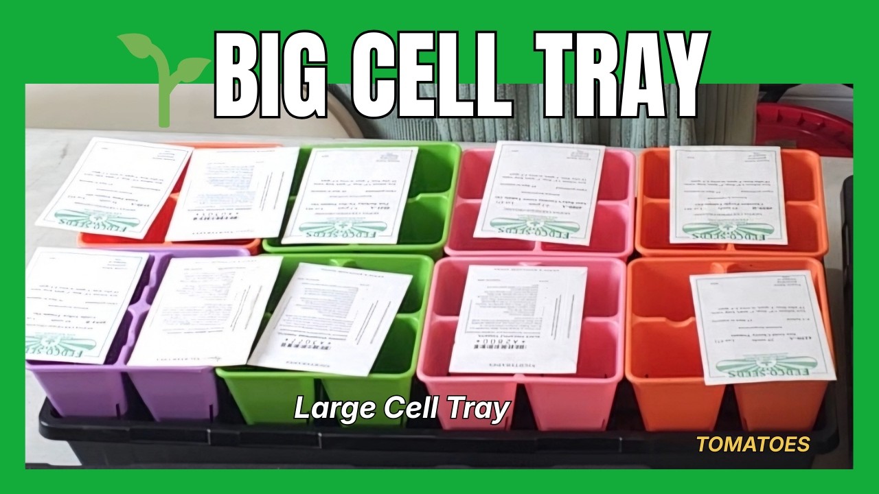 Will Bigger Cell Trays Grow Better Tomatoes? Seed Mix + DIY Potting Soil Test 🤔 