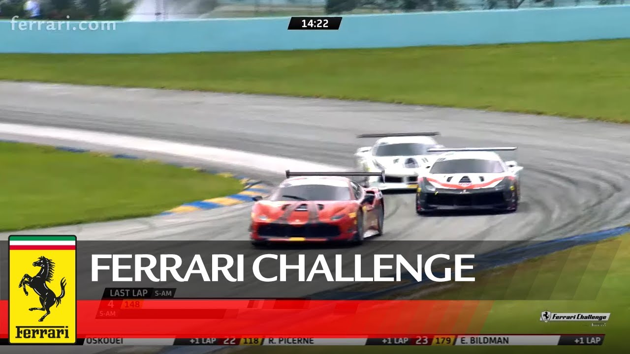 Ferrari Challenge North America – Homestead-Miami, Coppa Shell Race 2
