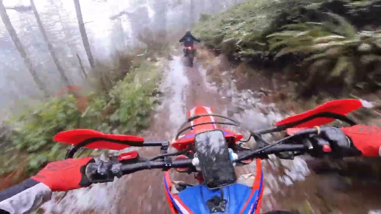 Chasing a TE 150 on Back to Back Trail - Rogers Camp OHV