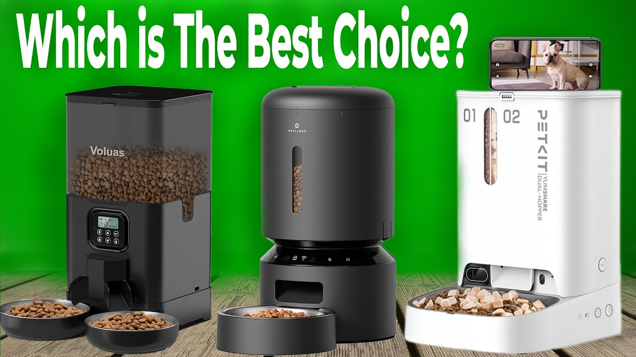 Best Automatic Cat Feeder 2024! [don’t buy one before watching this]