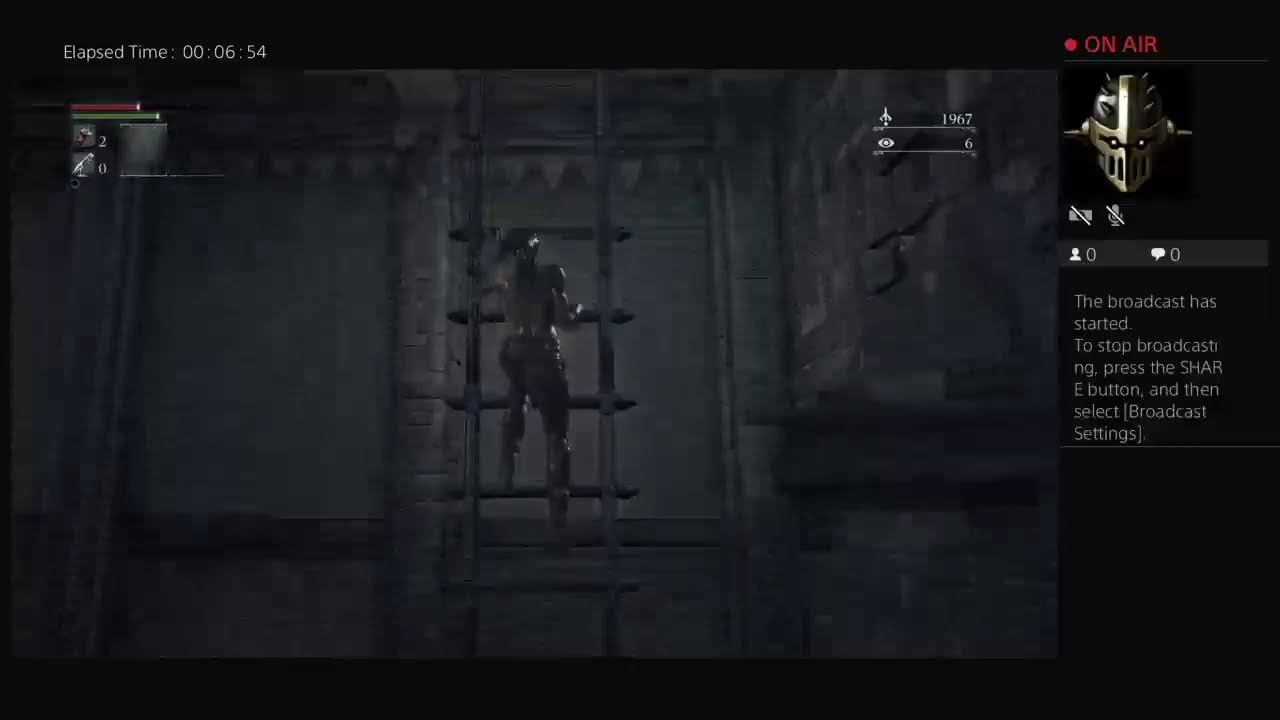 I'm not sure if it's laggy but Bloodborne