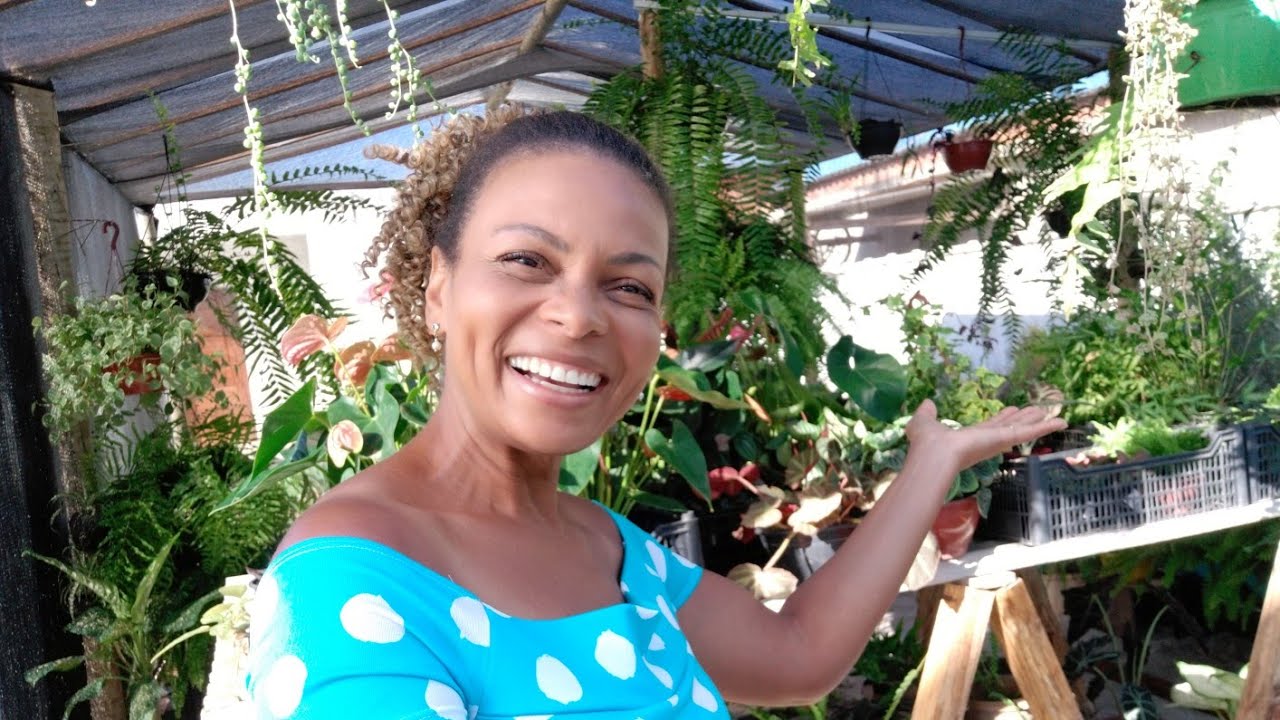 MONTEI MEU HORTO EM CASA/ Organizei todas as plantas ❤