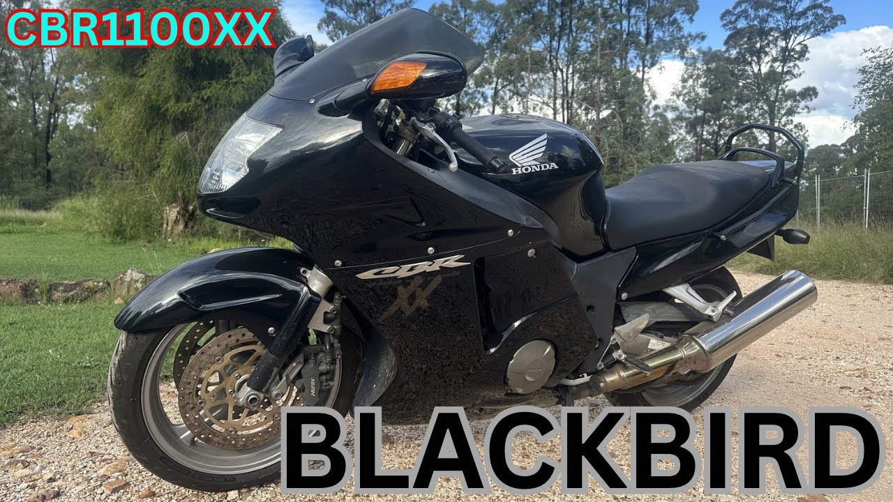 Honda Blackbird CBR1100XX