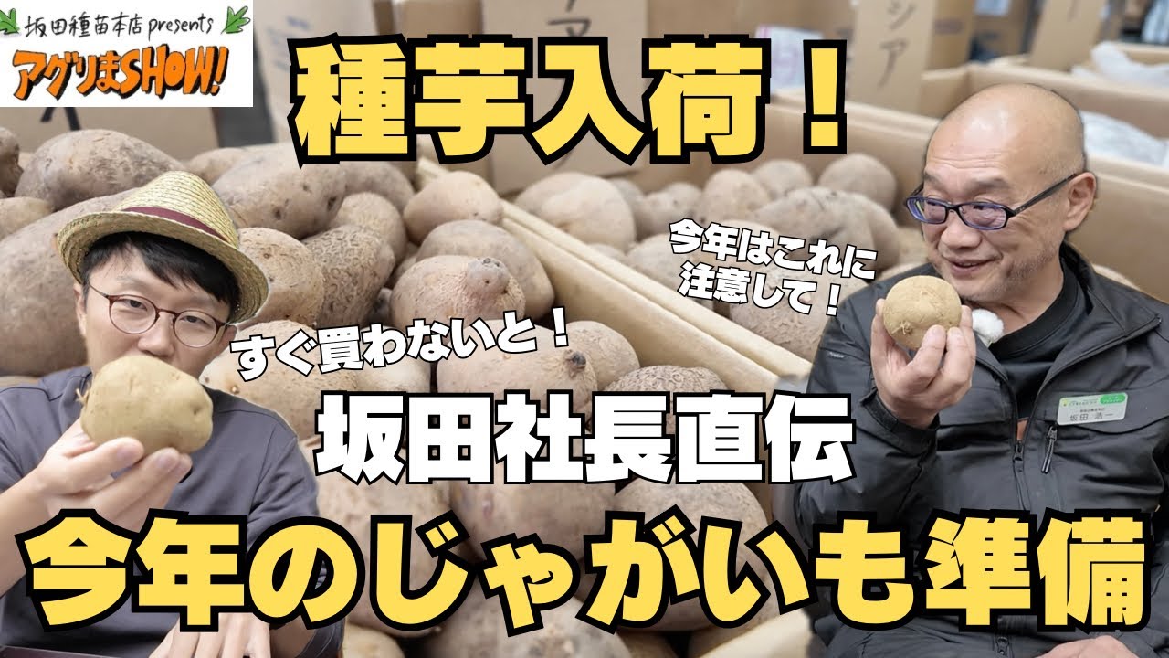 【種芋入荷】じゃがいもを育てるなら種芋を極めよう