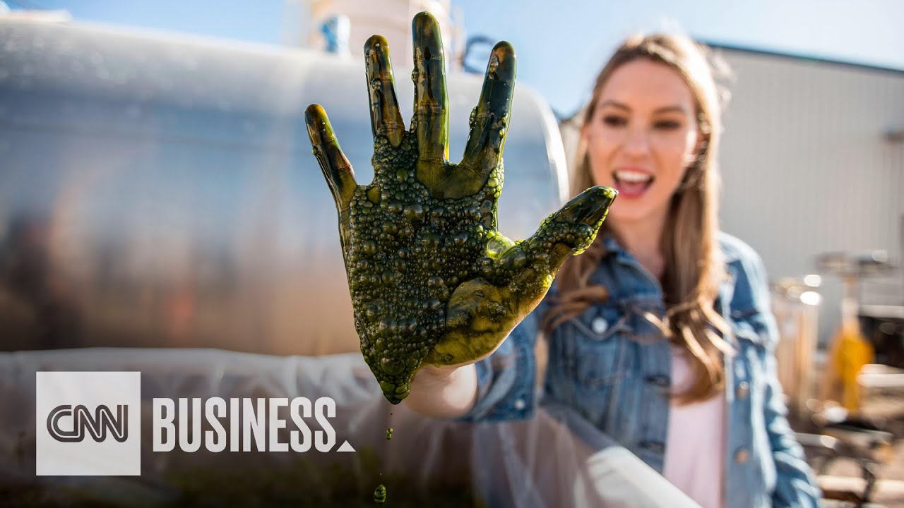 Is algae the food of the future? | Mission Ahead
