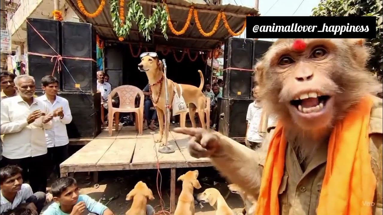 Supreme Court ke Faisle ke baad Dogesh bhai nikali Rally #dogeshbhai || ai monkey vlog 🤣🤣