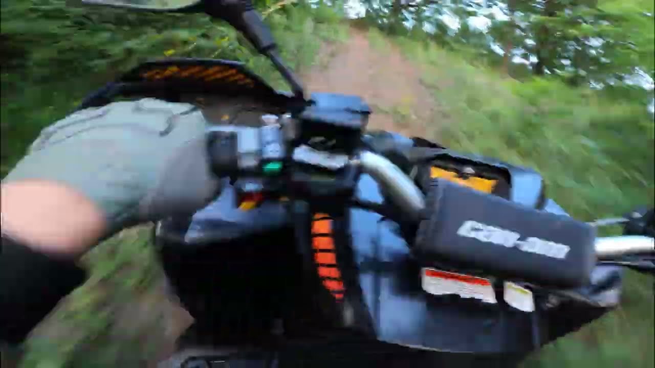 Stado dzików i wieczorny przelot | Can am renegade