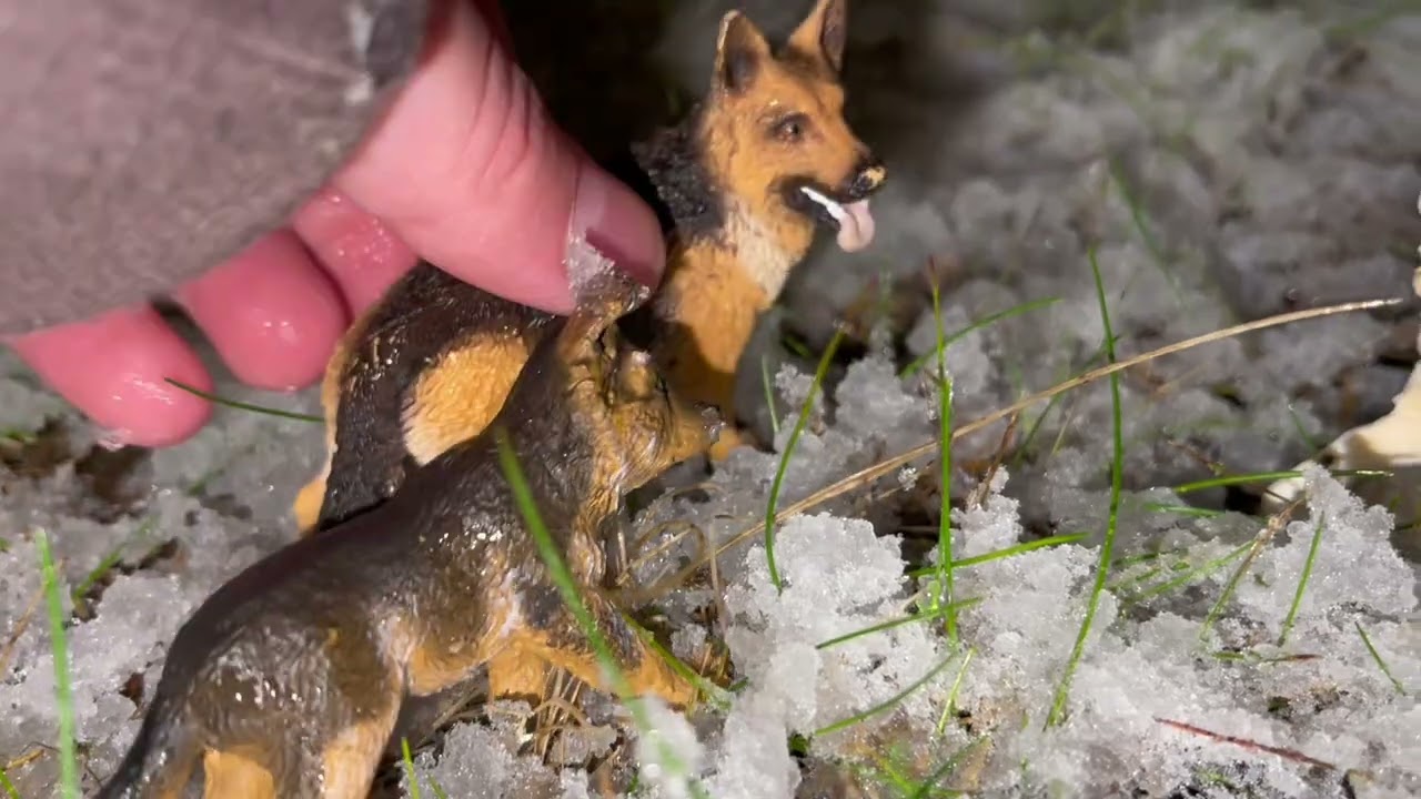 A snowy adventure /schleich
