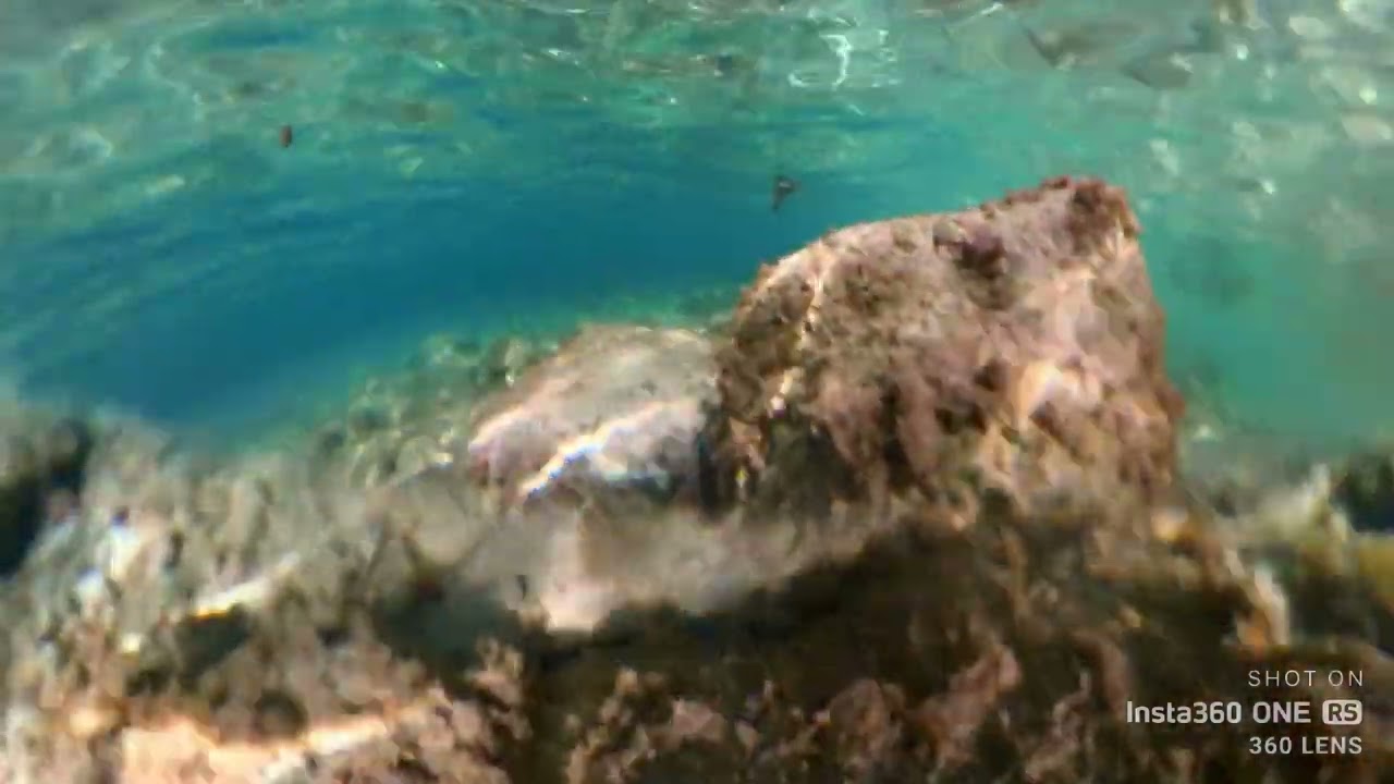 Discovering Cyprus #4