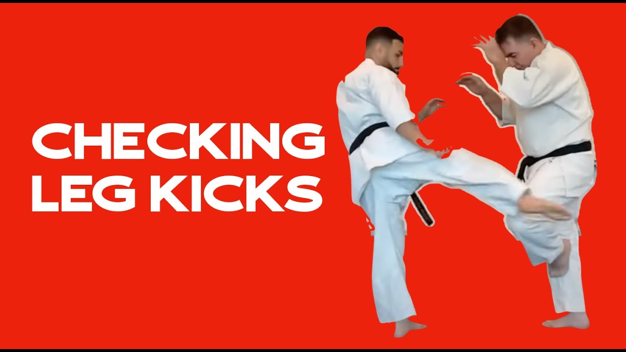 Different Ways to Defend The Low Kick. 下段回し蹴りをしっかり受けましょう。Kyokushin Karate with Shihan Cameron Quinn