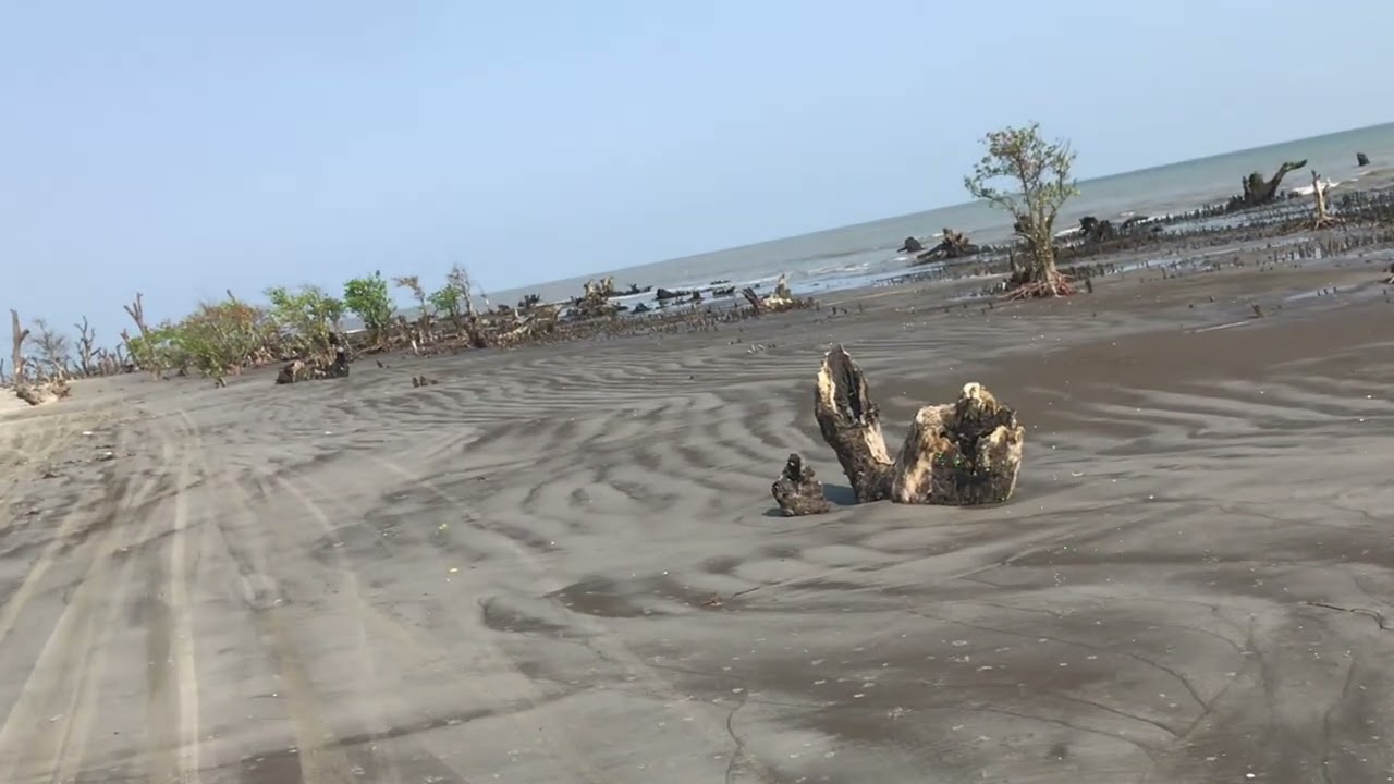  Kuakata sea beach/কুয়াকাটা সমুদ্র সৈকত #kuakata_tour #sea #beach #লঞ্চ 