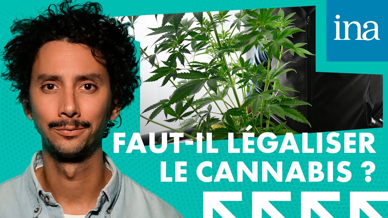 Faut-il l&eacute;galiser le cannabis ? Retour sur un d&eacute;bat qui divise la France depuis des ann&eacute;es