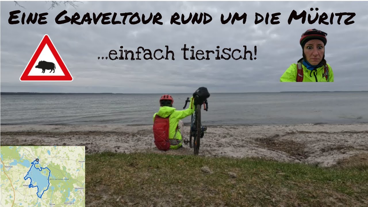 Graveltour rund um die Müritz mit Flucht vor Wildschweinen 🐗