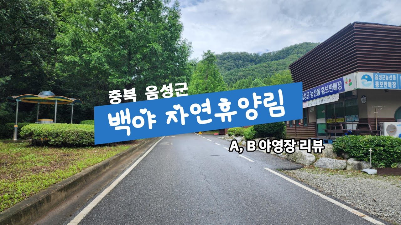 충북음성 백야자연휴양림 야영장 리뷰
