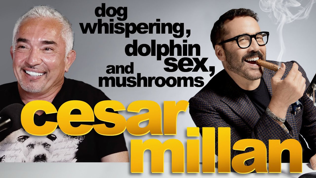 Cesar Millan: Dog Whispering, Dolphin Sex and Mushrooms