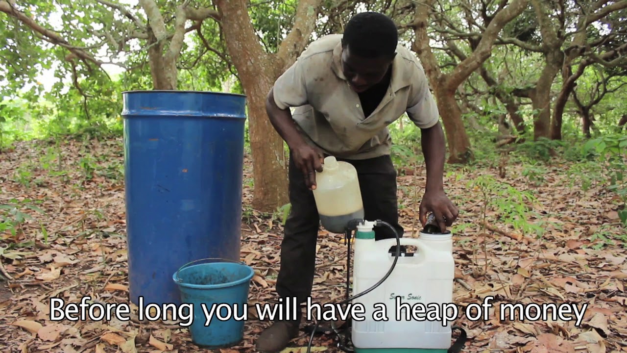Being A Successful Ghanaian Farmer
