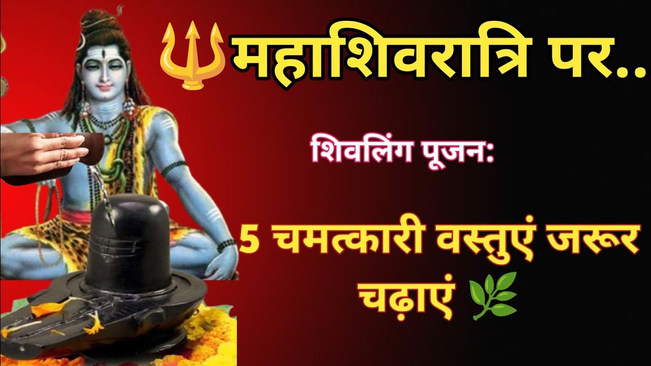🔱 महाशिवरात्रि  शिवलिंग पर क्या चढ़ाएं? लाभ + पूजा विधि🌷5 चमत्कारी वस्तुएं बदल देंगी भाग्य 🌿🌷
