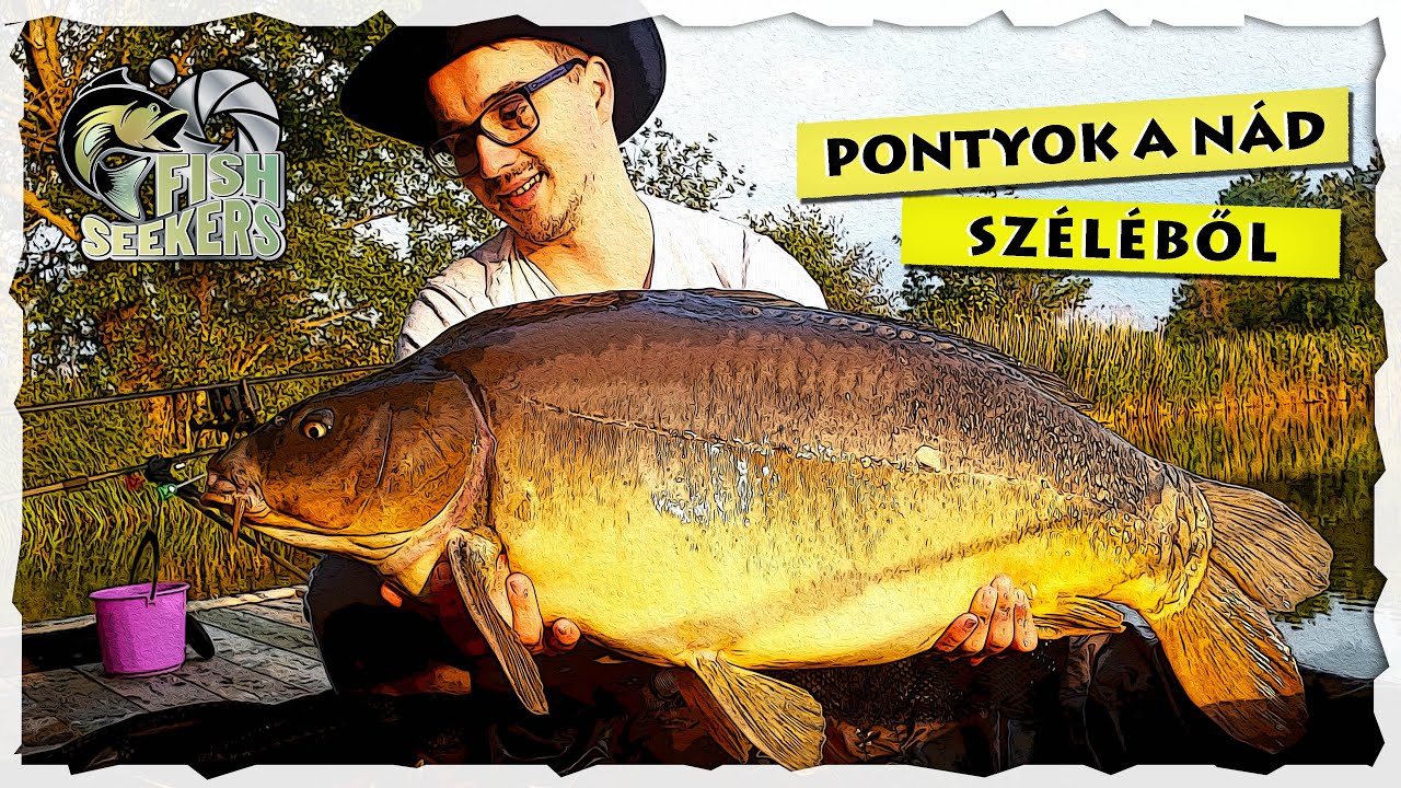 PONTYOK a NÁD széléből - S2 tavak - 1. faház