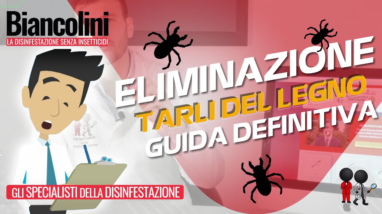 🔴​⚠️Come eliminare i tarli del legno: la guida definitiva🔴​⚠️
