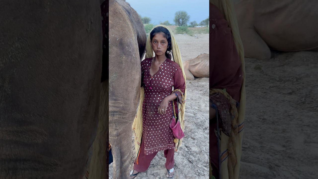 desert life in Pakistan #villagelife #traditionallife #song #love