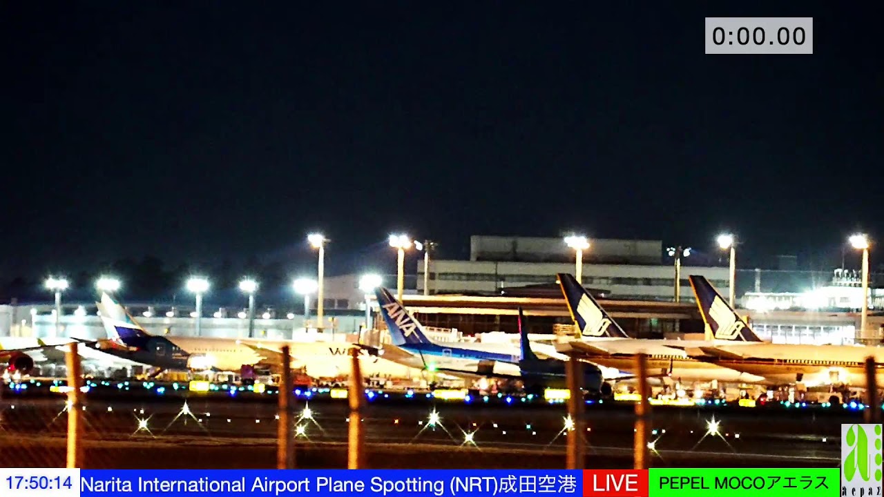 NRT成田空港30January/2026