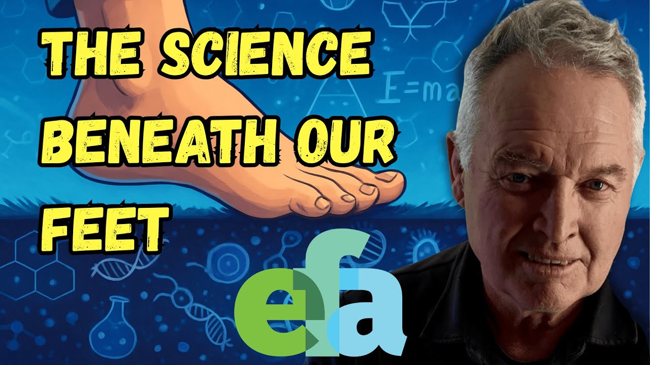 What Is An Atom, And Why Does It Matter: The Science Beneath It All