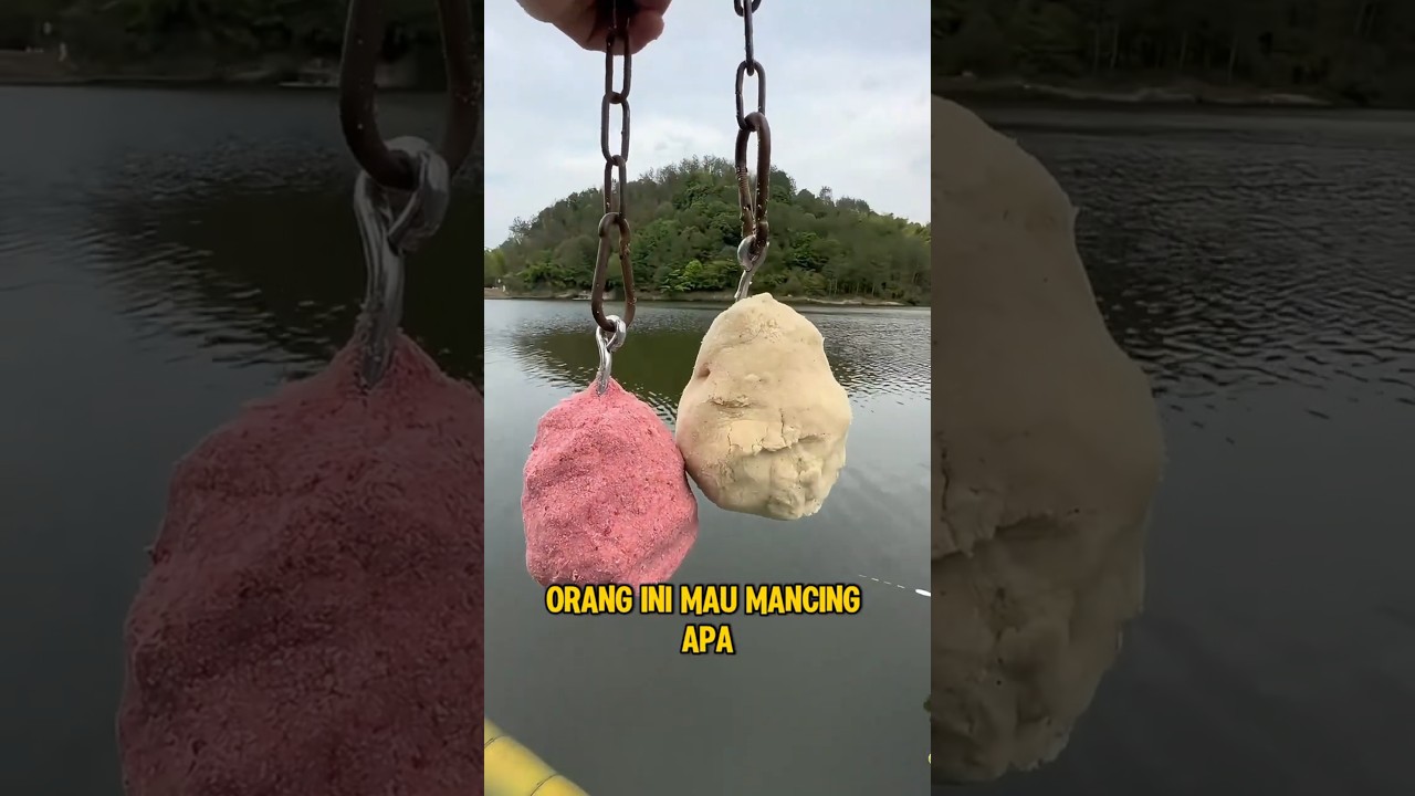 Mau Mancing Ikan Apa Ni Bolo‼️😱 #fishing #viral #trendjng #fyp
