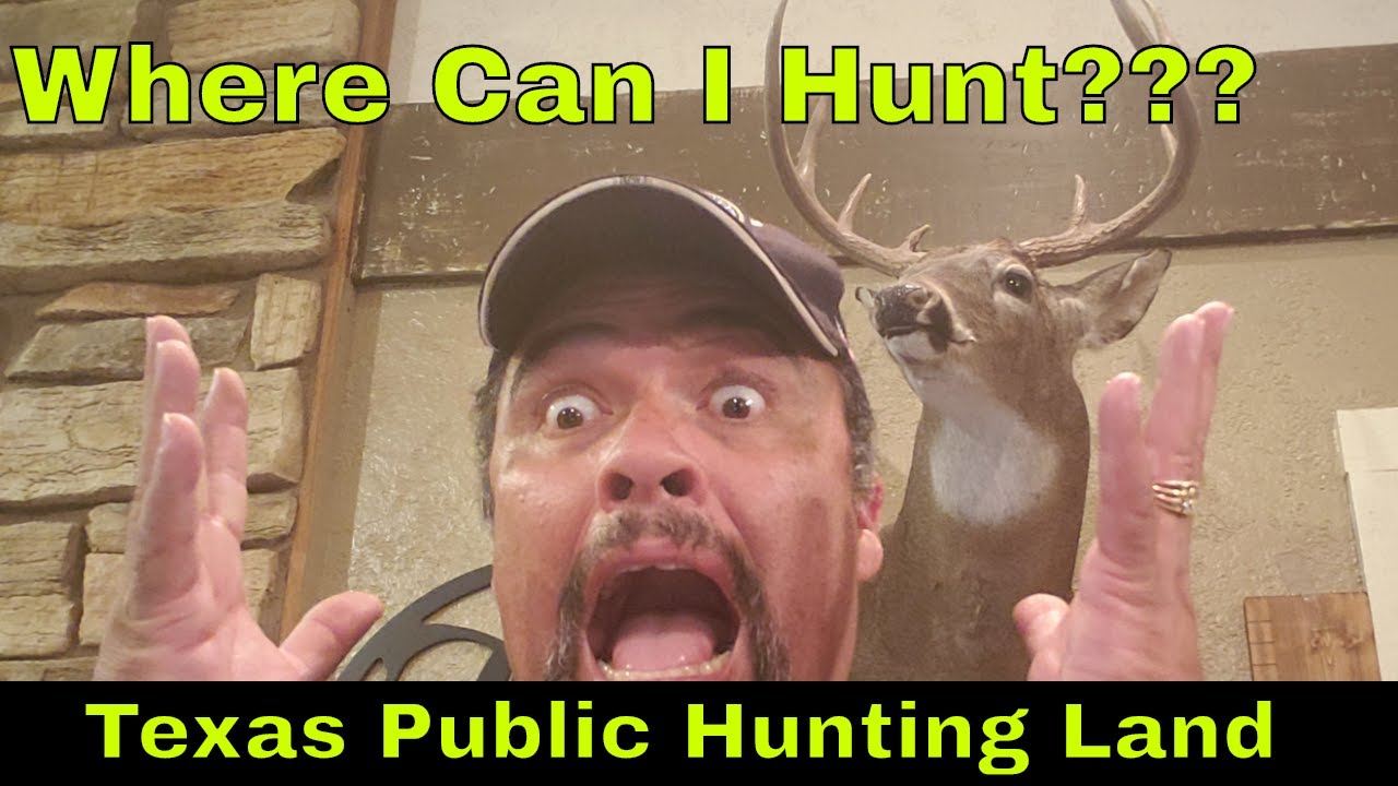 Texas Public Land Hunting: Places you can hunt