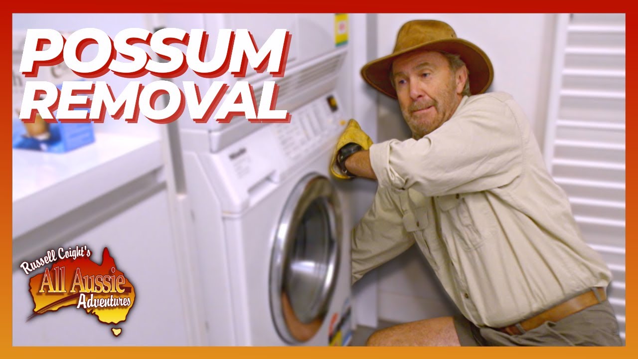 Russell Coight Teaches You How To Get Rid Of Possums | All Aussie Adventures