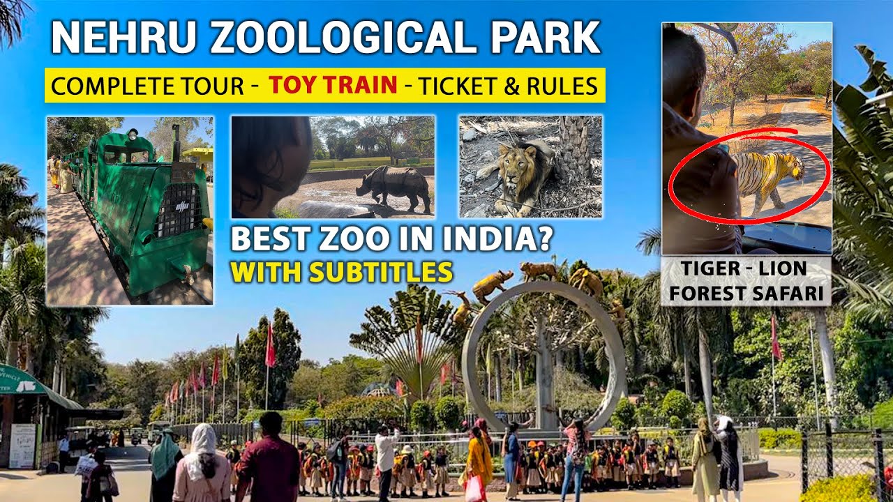 Hyderabad Zoo Complete Tour | Nehru Zoological Park | Thrilling Tiger Safari 😨