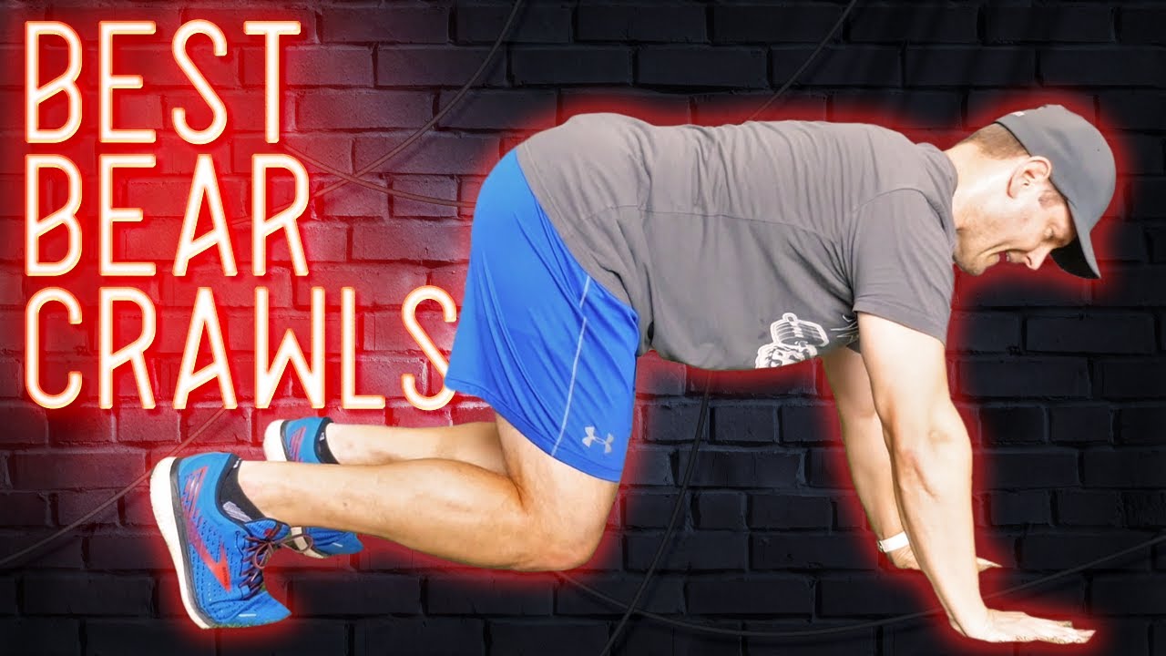 BEAR CRAWL Variations 🐻 7 Ways to do the Bear Crawl