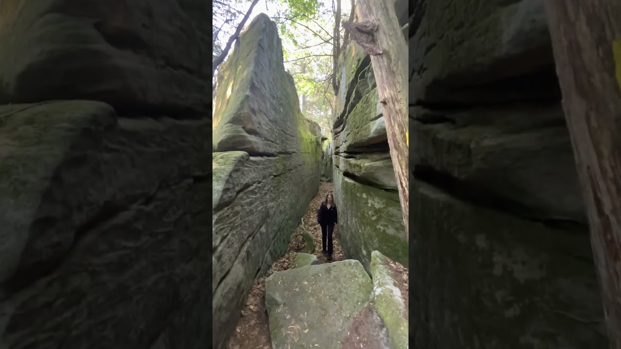 Fred Woods Trail HIKE in 4K | Elk State Forest | Driftwood, Pennsylvania