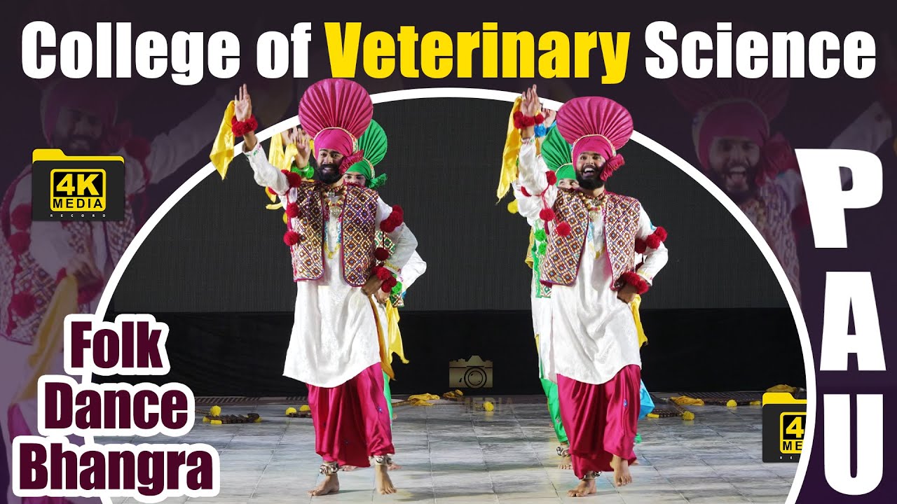 Bhangra 2023 || PAU || College of Veterinary Science