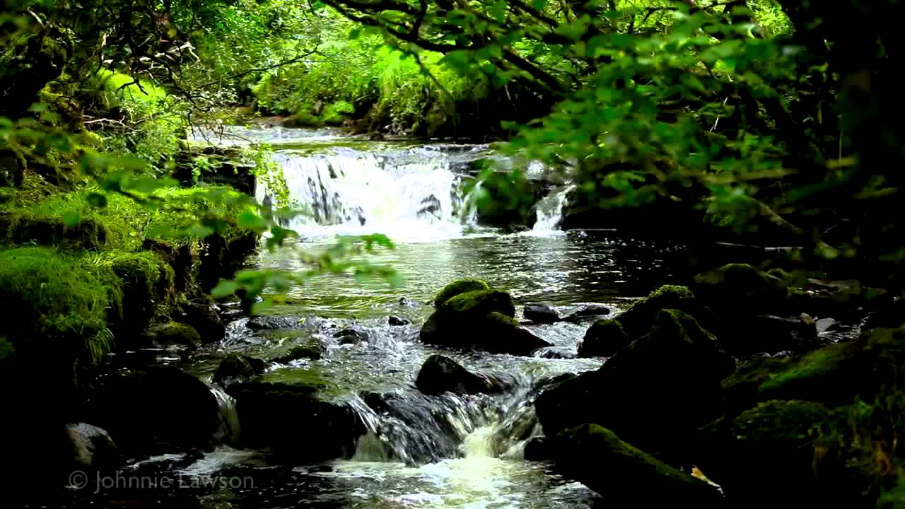 200mins. Classical Music for Studying-Relaxing Study Sounds-Sleep Relaxation