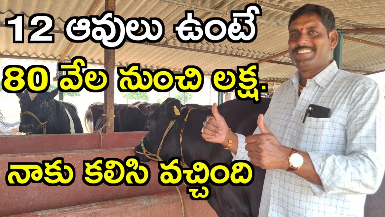 నా డైరీ ఫార్మ్ సక్సెస్ a dairy farm is means success @MalleshAdla