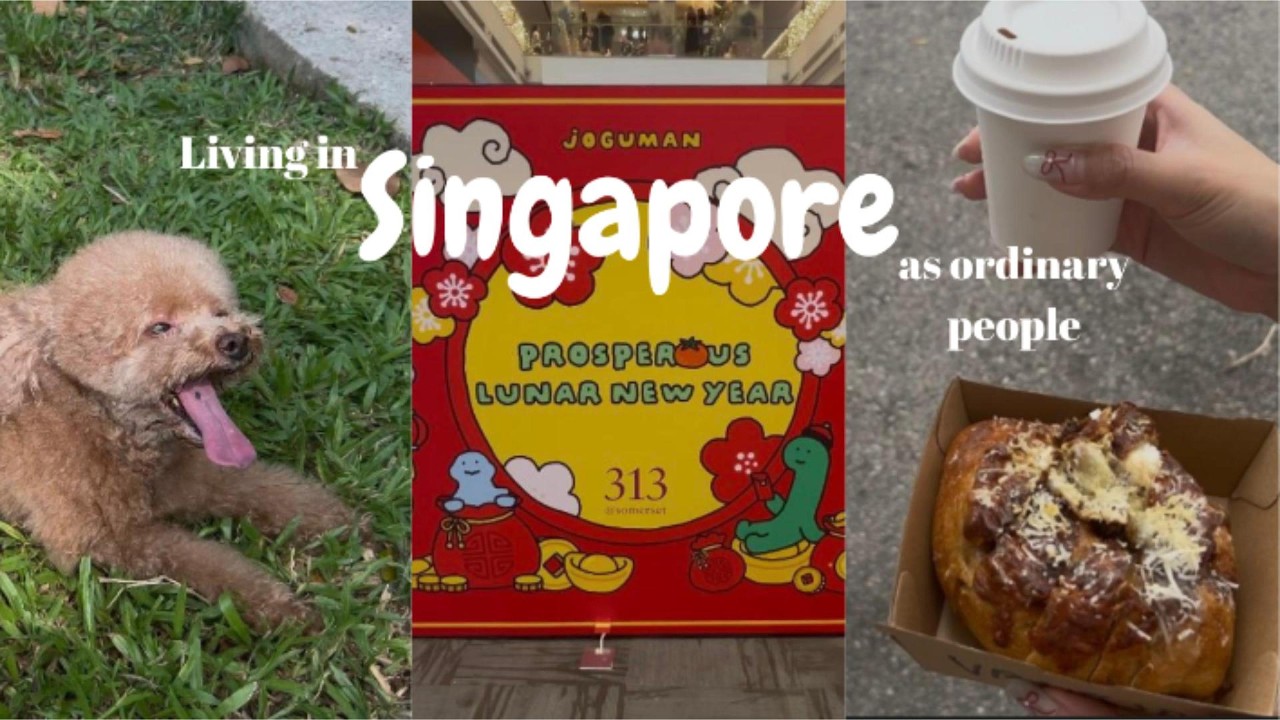 Living in SG Vlog | CNY goodies, new iphone, DIY pickles