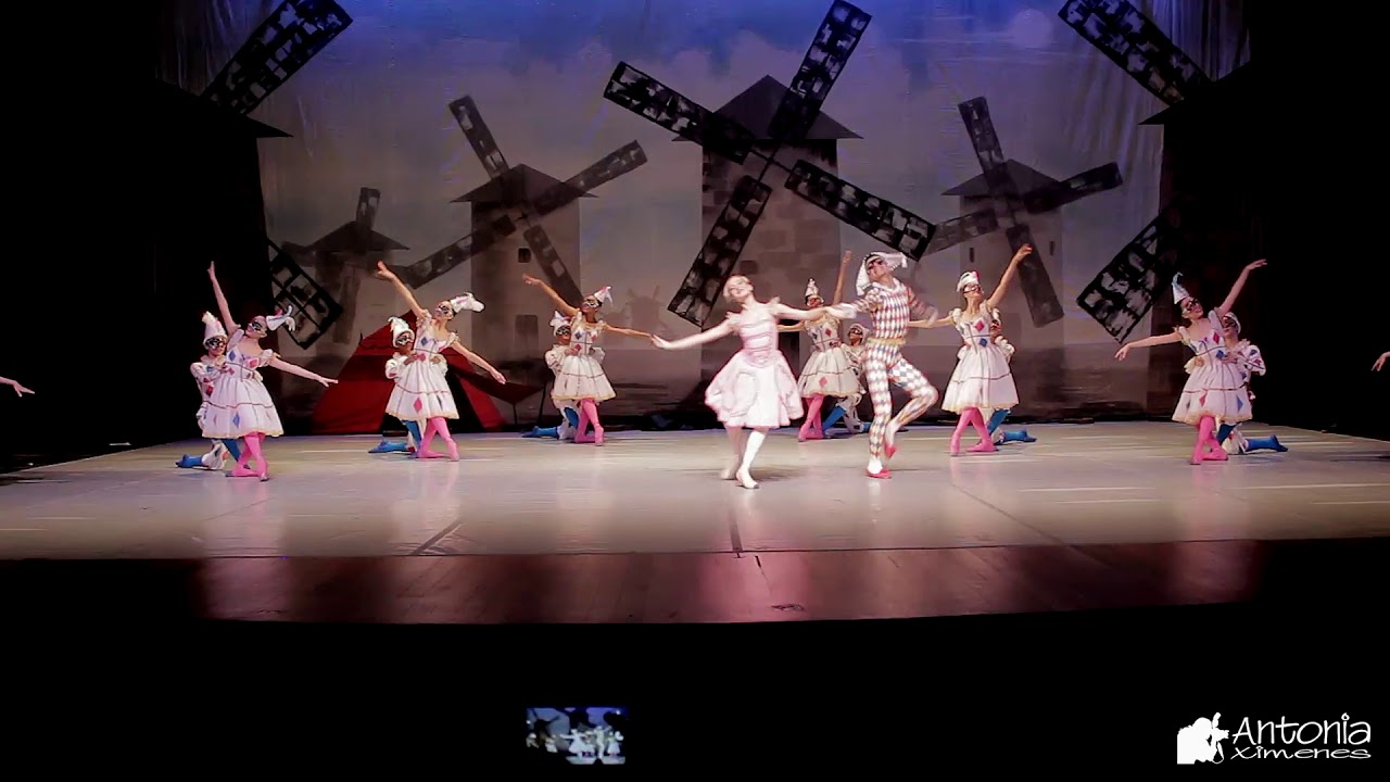 Video Harlequinade