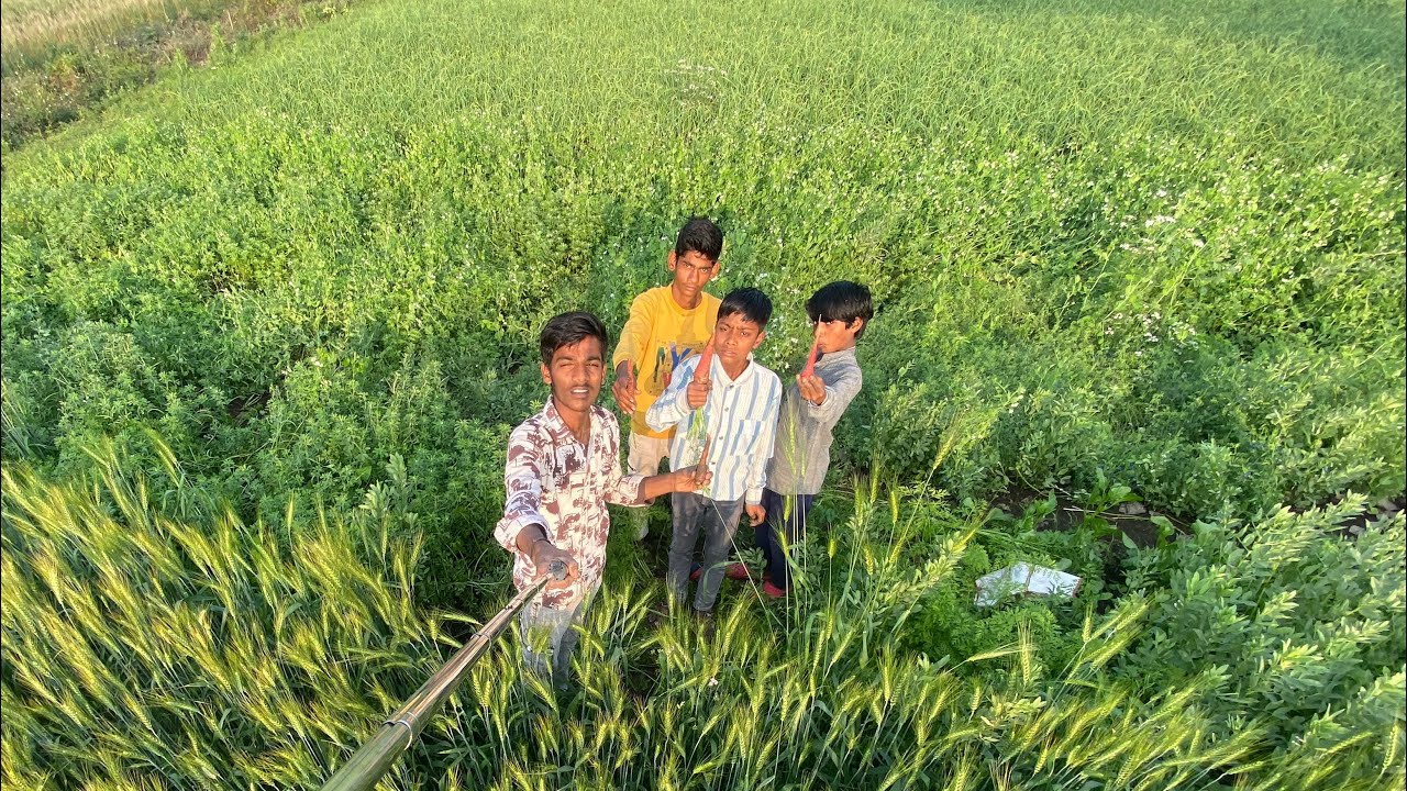 Sabhi Bachche Gajar 🥕 Khane Aa Gaye Khet Par 😲