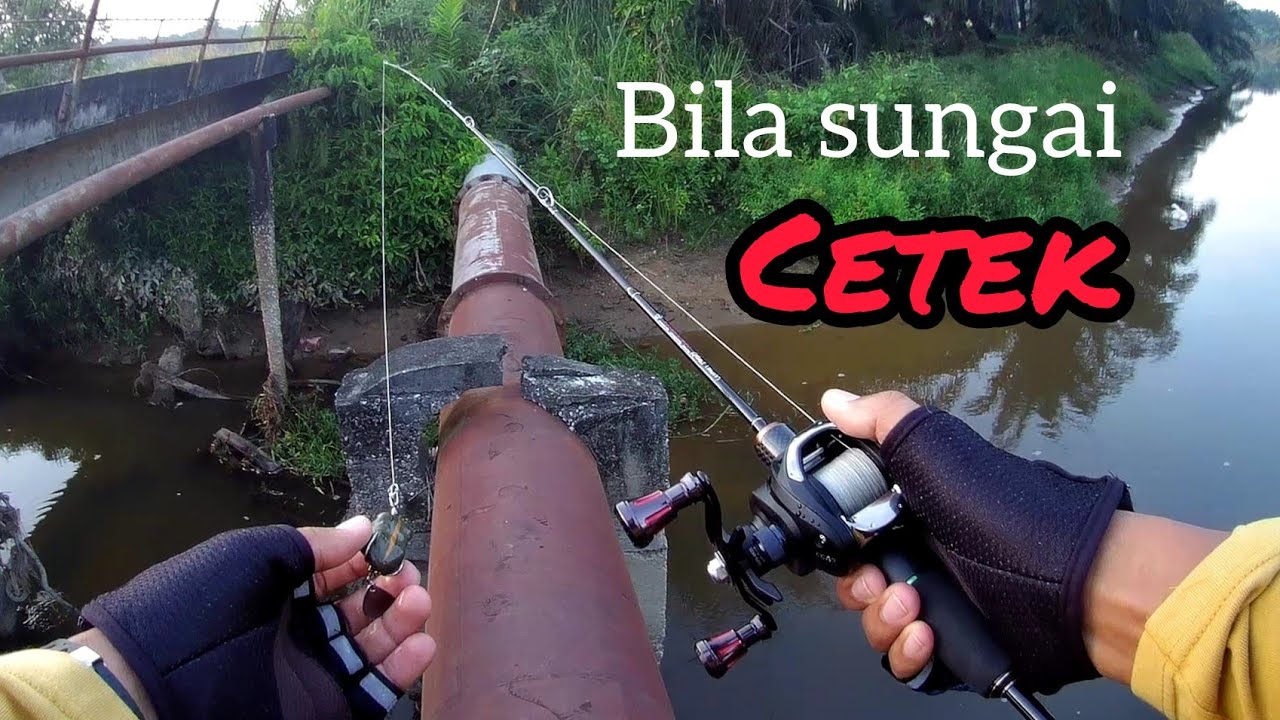 Casting Haruan Sungai port Amy Suhaimi ¦ Daiwa CC80 ¦ Artemis ¦ UltraLight Game