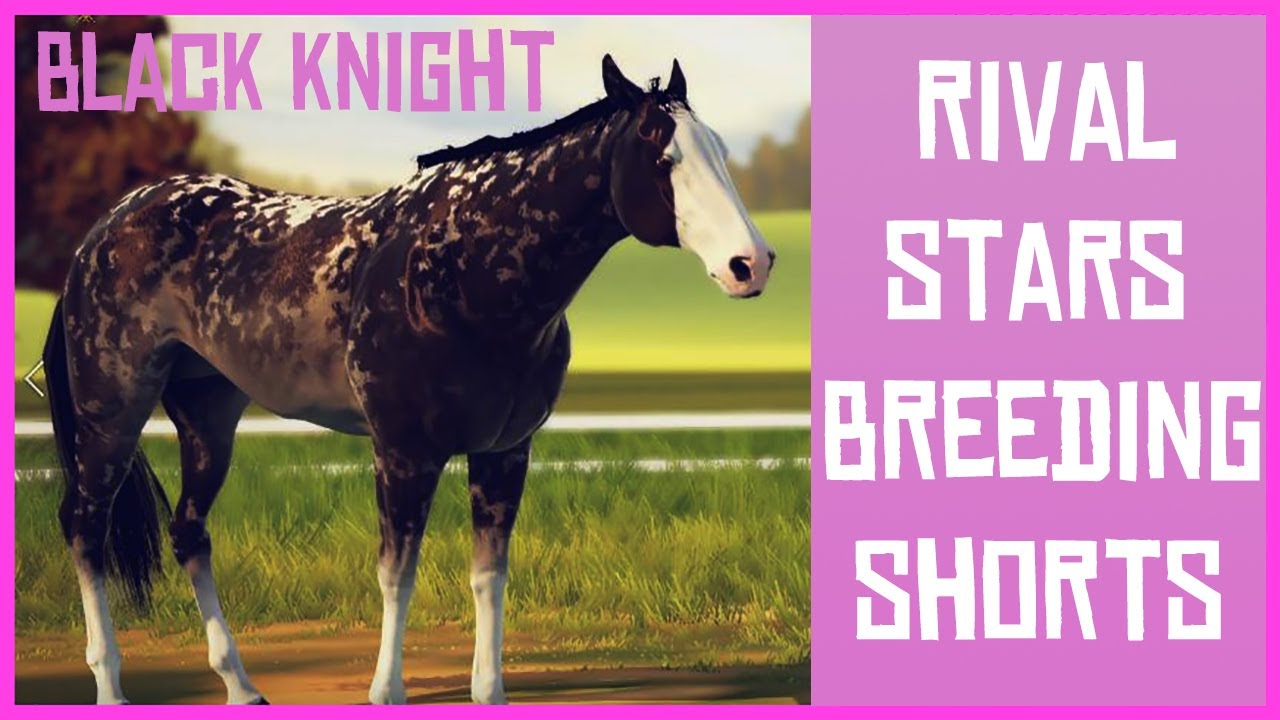 Rival Stars Breeding 3 Foals ⭐ Black Knight Stud ⭐ 