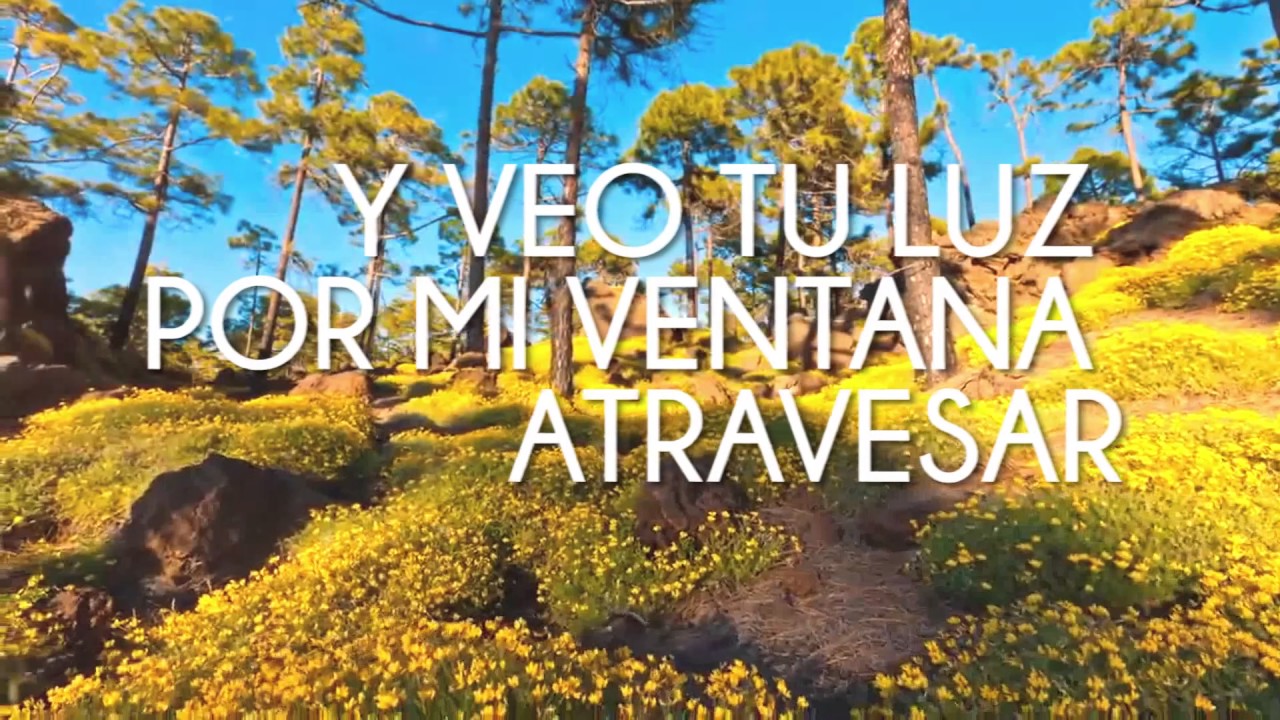 Veo Tu Luz - Adriana Acosta (Video Lyric)